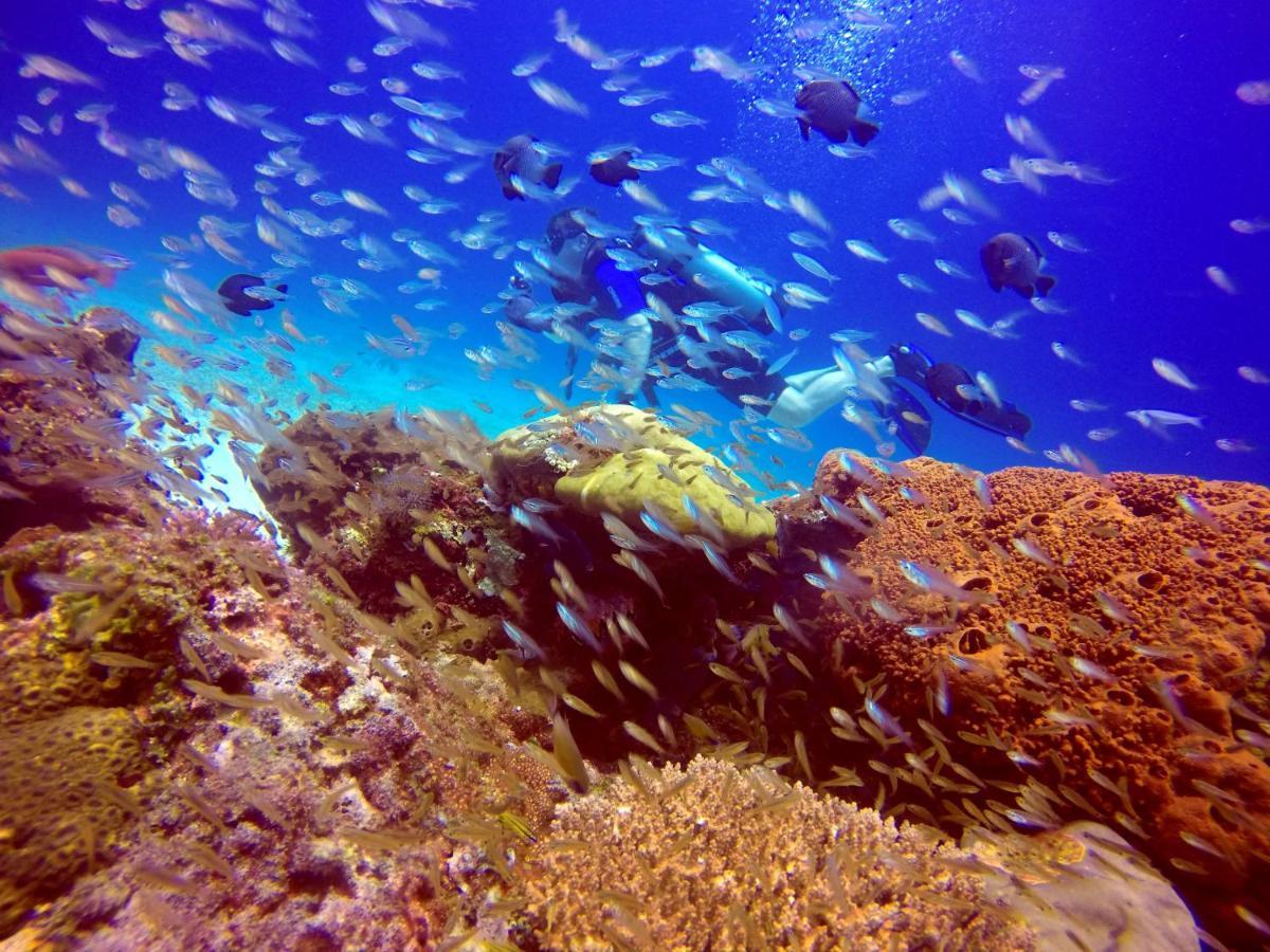 Anema Wellness & Resort Gili Lombok - Diving Center Padi Tanjung  Εξωτερικό φωτογραφία